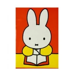 Geruite Nijntje Schoolschrift A4, Wiskunde Ruitjes Schrift